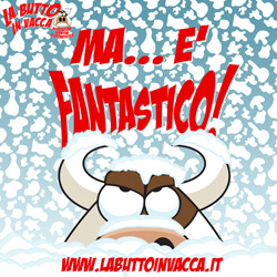 meme: fantastico winter ed.