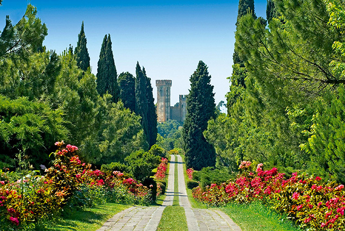 Il viale che porta al labirinto