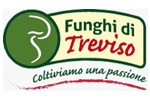 Consorzio Funghi di Treviso